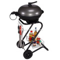 Barbecue Grill Leictreach Cruth